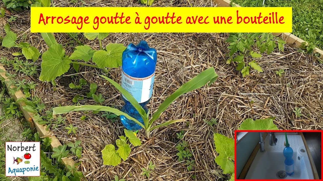 💦 Arrosage goutte à goutte avec une bouteille YouTube