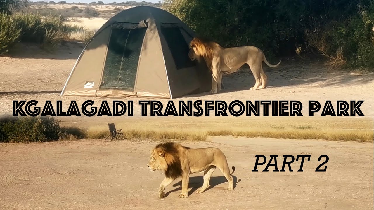 Kgalagadi - Mabuasehube - Part 2