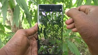 How to enable camera shutter sound in iQOO Z9s 5G