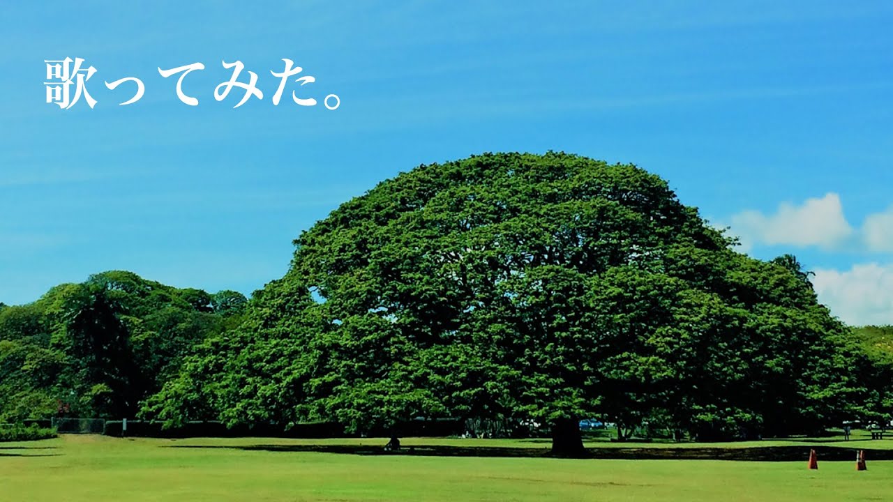 替え歌 この木なんの木 Youtube