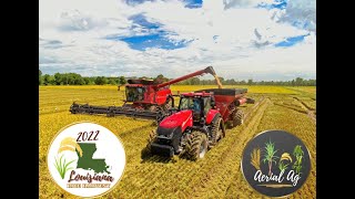 Kicking Off 2022 Louisiana Rice Harvest 4K