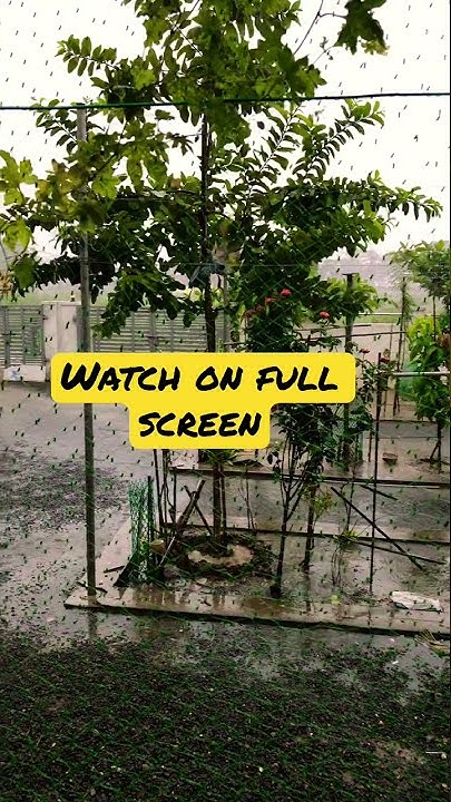 Rain Sound And Mud Smell everyone s Favourite Moment YouTube rain-sound-and-mud-smell-everyone-s-favourite-moment-youtube