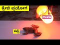       crazy experiments  mysteries for you kannada