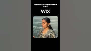 CMS vs Custom Websites Explained | Animation Storytelling | NoBug | 2024