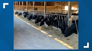One Central Pa. grocery chain aims to transform the agriculture industry