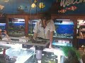 Girl swims in fish tank