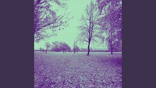 Hypnotic Ambiance for Deep Points