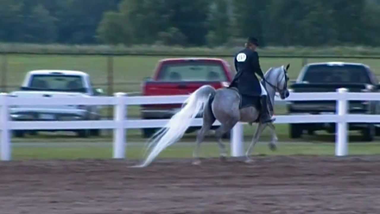 She's A Hoot.wmv YouTube