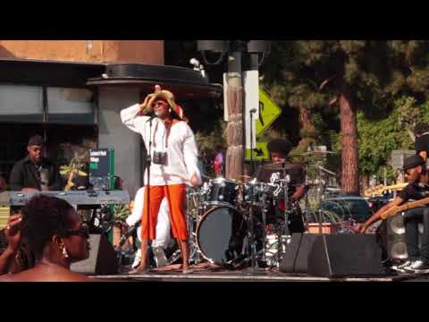 Edwin Birdsong Funktastic Concert (partial)