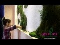 Фитостена, Вертикальное озеленение стен стабилизированным мхом от GREEN TREE