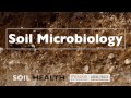 Soil Basics: Soil Microbiology