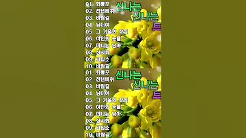 감성 트로트 모음 KPOP TROT PLAYLIST 꽃길 상사화 여인의 눈물 회룡포 바람길 