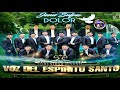 Comunidad Juvenil Voz del Espíritu Santo VoL.12  Album Completo (Lo Nuevo)