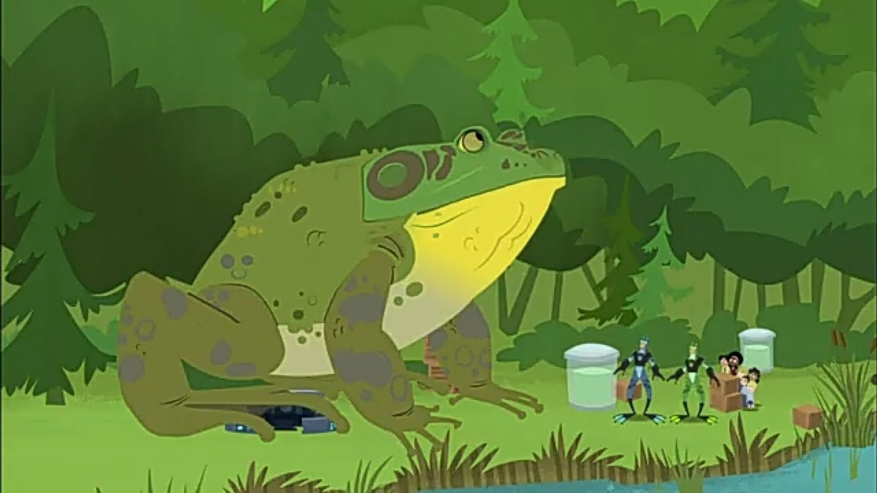 Аква лягушка. Братья Кратт: Зов Природы. Новая серия. Канал Детишки ...