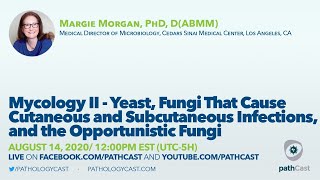 Mycology II - Dr. Morgan (Cedars Sinai) #MICROBIOLOGY