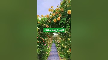متى تقرا وفي اي صلوات (سورة الكافرون)و (سورة الاخلاص)