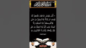 سورة البقرة الآيتين 271 و 272 بصوت الشيخ فارس عباد برواية حفص #القرآن_الكريم #اكسبلور #المصحف #viral