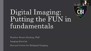 Fundamentals Of Digital Imaging