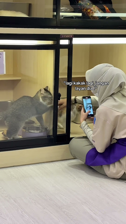 Amboii pandai dia intai jiran sebelah tengah playtime dengan kakak ea 😆lepastu kan dah jeles 🤣