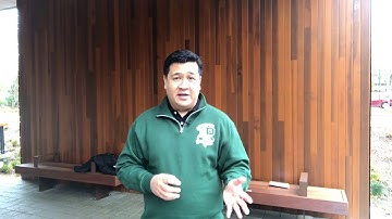 MAL 568 module 9 wrap up video