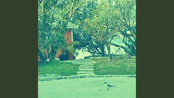 Sensational Ambience for Irie Vibes