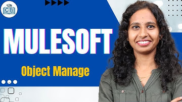 MuleSoft Object Manage | Object Manage in MuleSoft | MuleSoft Online Classes | CyberBrainer