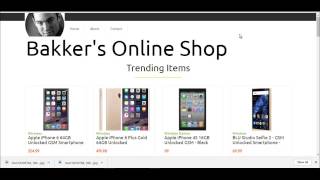 eCommerce Integration and Store Management
