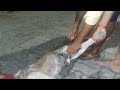 Curing the Street Dog//Recovery as Soon🤞Part--2 #viral #trending #animals #dogrescue