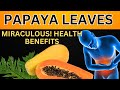 11 Surprising Benefits of Papaya Leaves