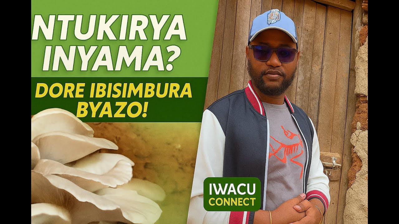 🍄 Ibihumyo: Ibisimbura Inyama & Umushinga Mwiza w’Ubuhinzi! 🌱