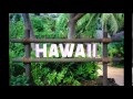 Sounds of hawaii soothing ocean waves hawaiian music