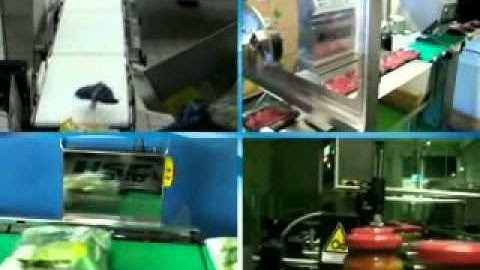 Checkweighers & WeighPrice Labelers HSC350