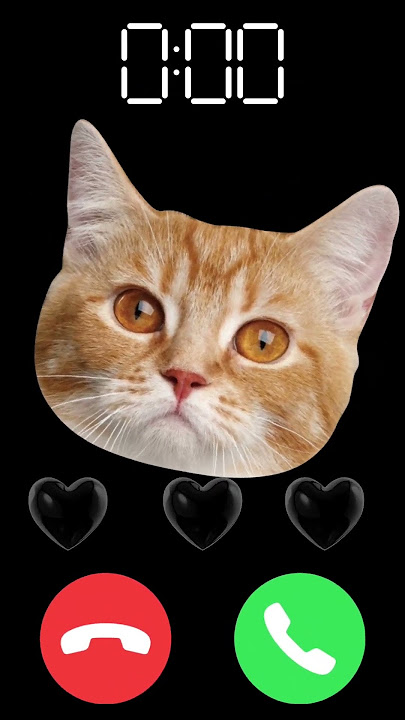 #iphone #cat #shorts #ringtone