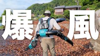 落ち葉掃除終了。新型ブロワーで落ち葉掃除したら一瞬で終わった。