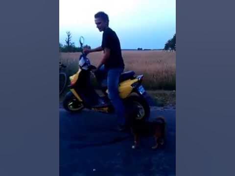 Bogdalec Parciak D YouTube