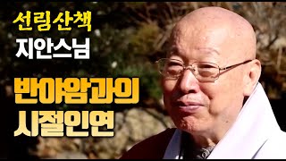 지안스님, 반야암과의 시절인연 [선림산책 13]