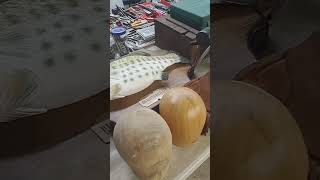 June 3Rd, 2025, Auction. Starts At 3.00. Many Collectibles Cane Plus Much More.