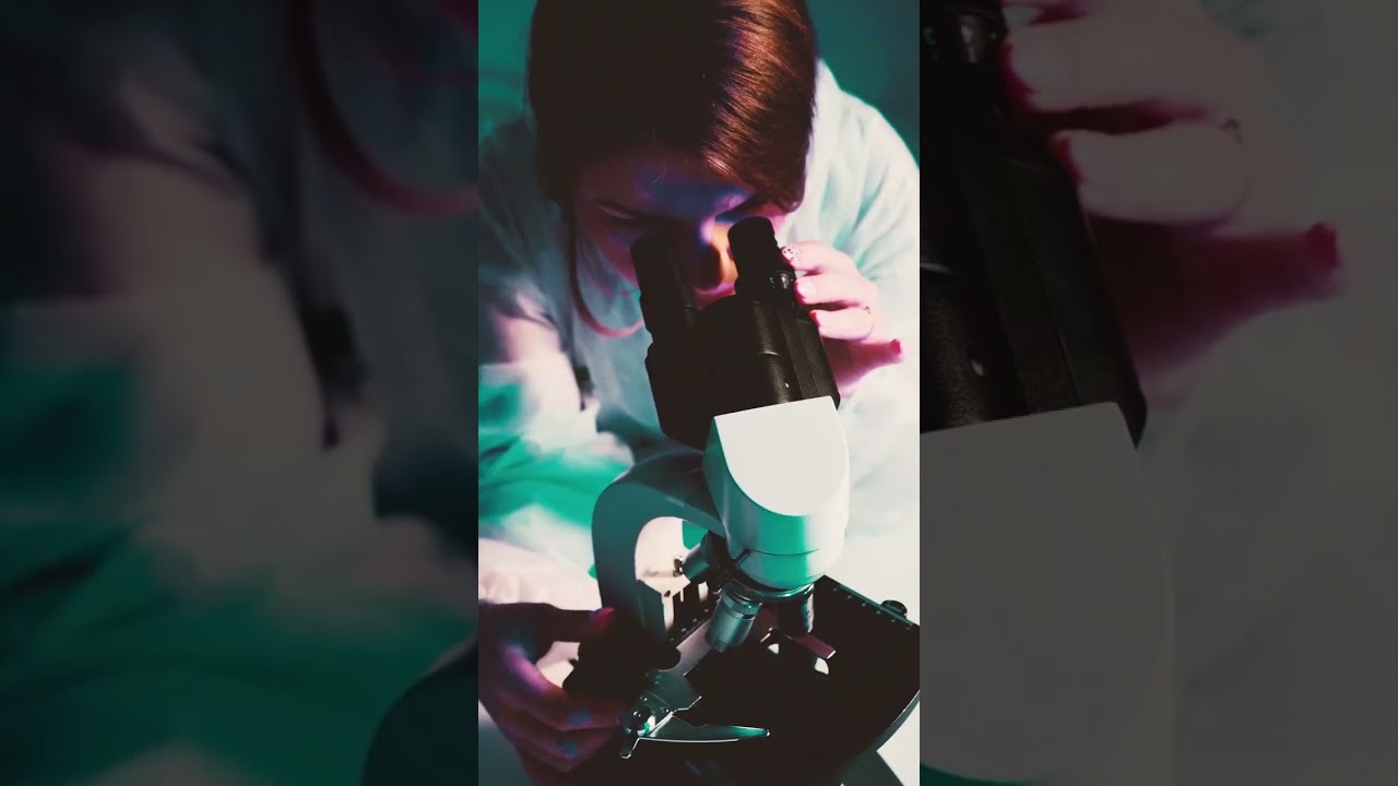 The Brutal Killing Of Denise Marie Standford | True Crime | Mysterious Hook