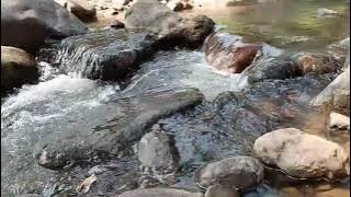 Menikmati keindahan aliran sungai