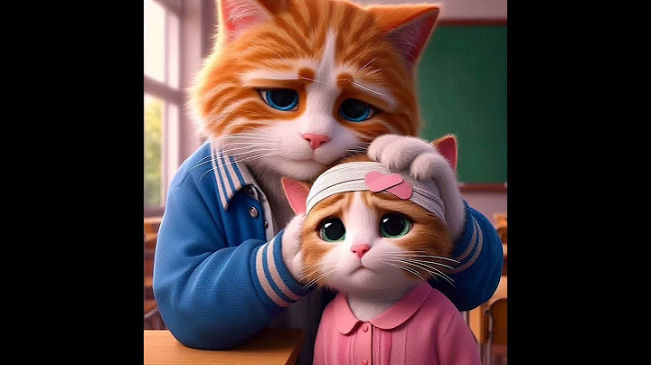 The story of a cat that turns from hate to love #cat #cutecat #kitten