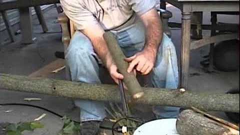 Making tulip poplar bark baskets part 1 of 3