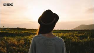 Morning Mandolin | Chris Haugen | 1 Hour Loop | 🎧 country & folk 🎧 MOODS1M