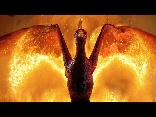 SHINING PHOENIX - Rise From The Ashes (Official Music Video) - YouTube