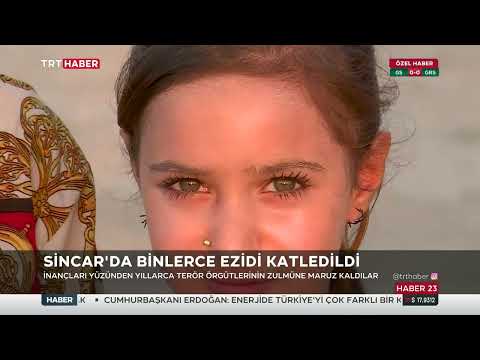 Cemile Nur Kınacı İle TRT Haber gece Bülteni 12.08.2022