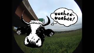 VACHE ÉVACHÉE - Live au Generator Show (13 juin 2026)