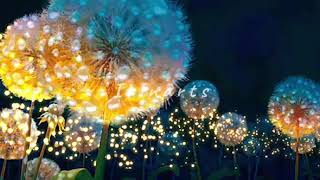 Nour Garsas  Ozon  Ultra Slowed  Reverb