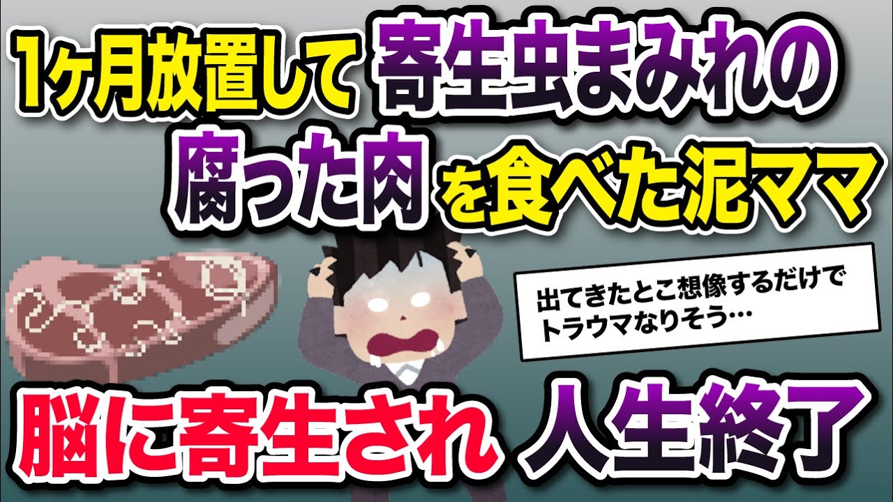 【泥ママ】置いてた肉を盗まれた！それ、寄生虫まみれなんだけど…→泥ママの悲惨な末路がこちら【2ch修羅場・ゆっくり解説】