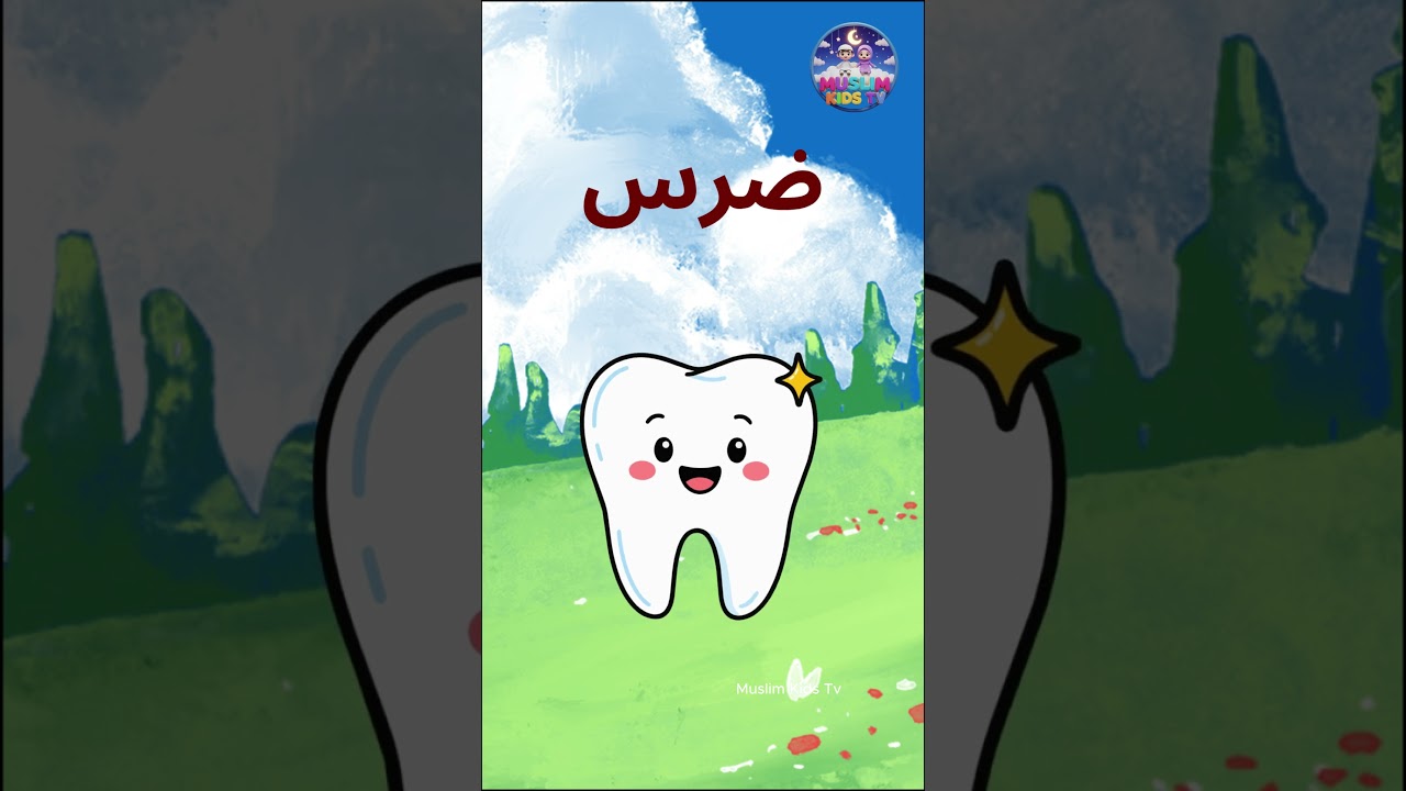 Teach Your Kids Arabic with These 4 Words! 📚 #islamicparenting #arabic #learning