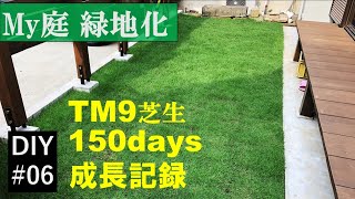 TM9芝生張り【DIY#06】 150日間の成長記録　粘土質の庭を整地、床土作り、芝生張り、成長記録　how to make a plant grass