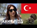 Turkish React to Turkey Changing its Country Name | Street Interview